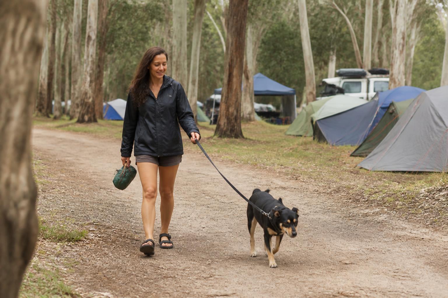 A camper walking her dog on a lead through a campground